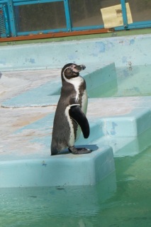 �́[�[�I