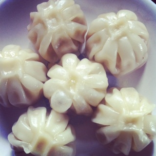 �V���I�����o�I