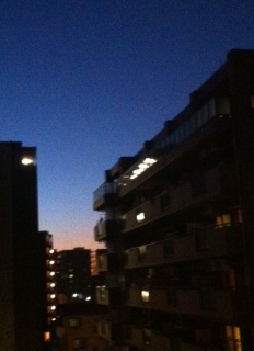 �Ђǂ������I�I