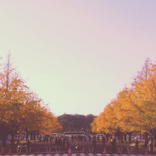 �����o�C�g�[�I