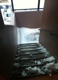 �߂�ǂ������[�I�I